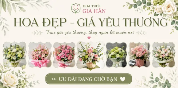 Tin tức